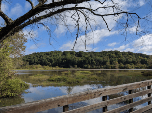 A serene landscape featuring a calm lake, lush greenery, and a wooden railing under a blue sky with scattered clouds.