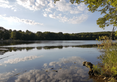 A serene lake scene with trees lining the shore and fluffy clouds reflected in the calm water under a blue sky.