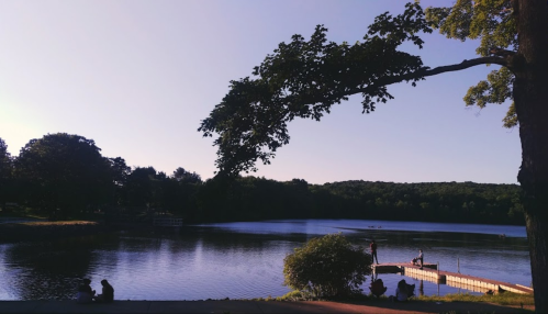 A serene lake scene with a tree overhanging the water, people on a dock, and lush greenery in the background.
