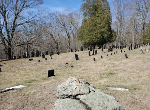 A cemetery with numerous gravestones scattered across a grassy area, surrounded by bare trees and a large rock in the foreground.