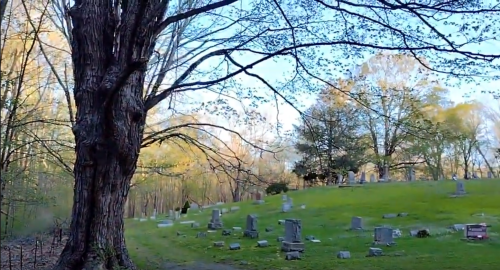 A serene cemetery scene with gravestones scattered across a grassy area, framed by trees and a clear blue sky.