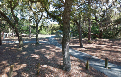 A serene park scene with large trees, dappled sunlight, and a winding path covered in fallen leaves.