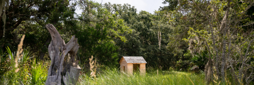 A small wooden shed surrounded by tall grass and trees in a natural setting.