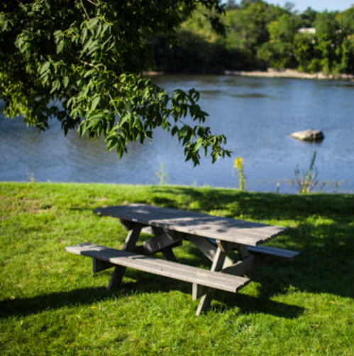 A wooden picnic table by a calm river, surrounded by green grass and trees.