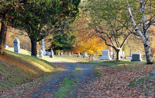 A serene cemetery path lined with trees and gravestones, featuring autumn foliage in warm colors.