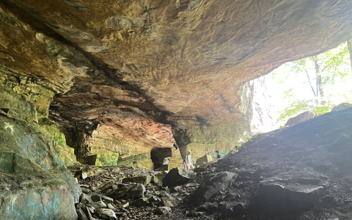 A rocky cave with colorful graffiti on the walls, surrounded by greenery and sunlight filtering through.