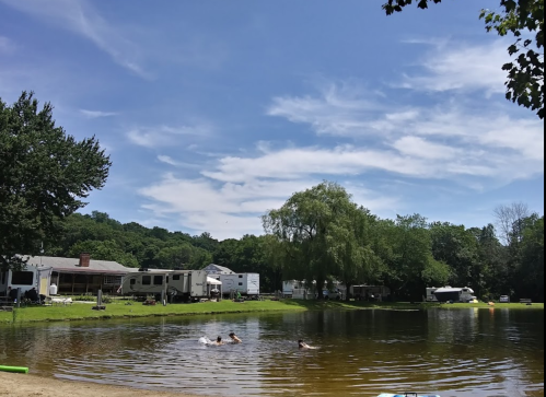 A serene campsite by a pond with ducks swimming, surrounded by trees and RVs under a blue sky with clouds.