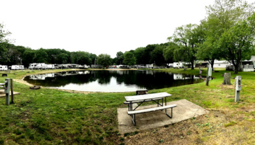 A serene campground with a pond, picnic table, and RVs in the background, surrounded by lush greenery.