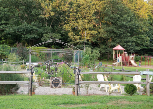 A garden with a metal archway, flowers, and a playground in the background, surrounded by a wooden fence.