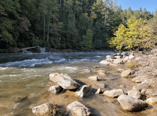 A serene river flows past large rocks, surrounded by lush green trees and a clear blue sky.