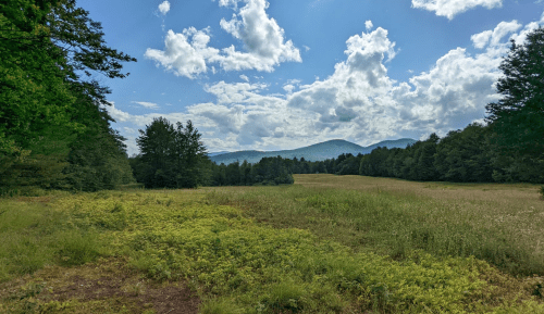 A scenic landscape featuring a grassy field, trees, and mountains under a partly cloudy sky.