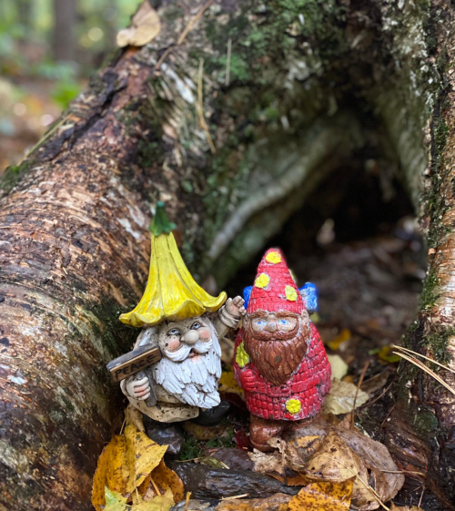 Two whimsical garden gnomes stand beside a fallen log, surrounded by autumn leaves in a forest setting.