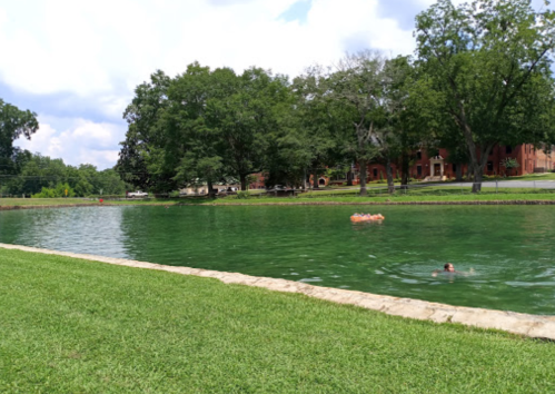 A serene pond surrounded by green grass and trees, with people swimming and floating on the water.