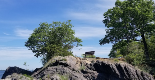 A solitary bench on a rocky outcrop, surrounded by trees under a clear blue sky.