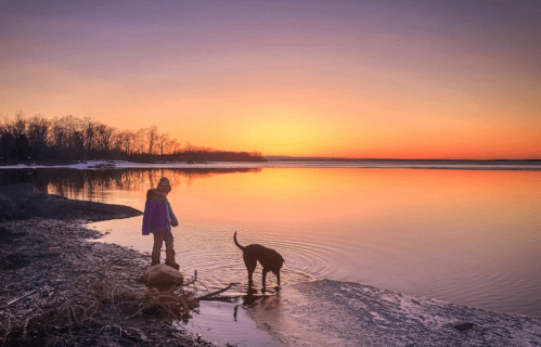A child and a dog stand by a calm lake at sunset, with vibrant colors reflecting on the water.