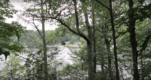 A serene view of a lake through lush green trees, with a hint of distant shoreline visible.