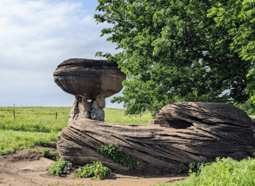 A large, flat rock balanced on top of a smaller stone, surrounded by lush greenery and a tree in the background.