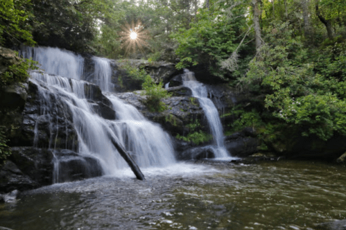 A serene waterfall cascades over rocks, surrounded by lush greenery and illuminated by sunlight filtering through trees.
