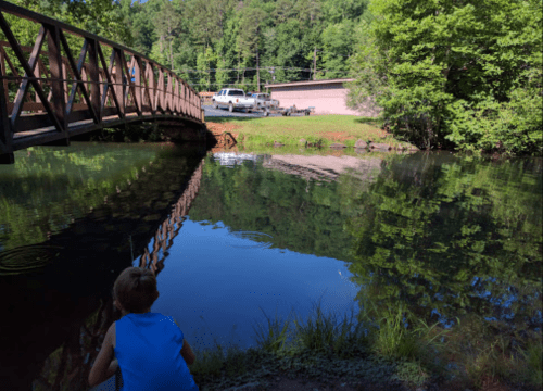 A child sits by a calm pond, with a wooden bridge and trees reflected in the water. A building and vehicles are in the background.