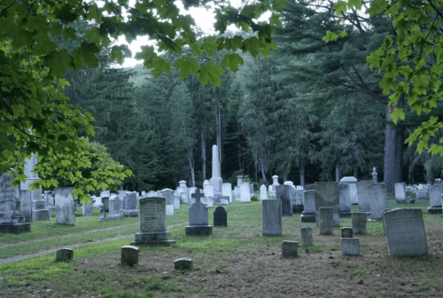 A serene cemetery with various gravestones surrounded by trees and greenery, under a soft, overcast sky.