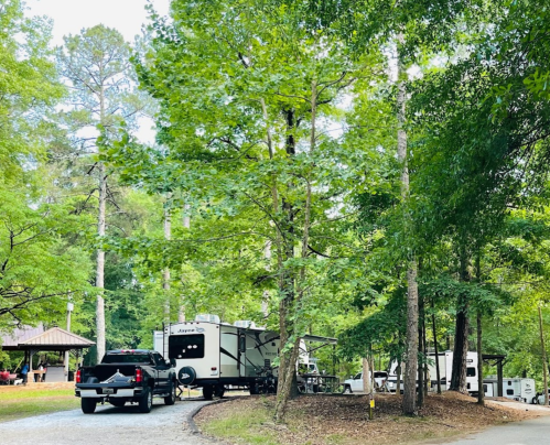 A campsite with RVs surrounded by trees, featuring a gravel path and a picnic shelter in the background.