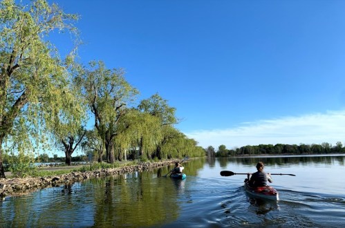 Two people kayaking on a calm river surrounded by lush trees and clear blue skies.