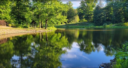 A serene pond surrounded by lush green trees, reflecting the landscape in calm water under a clear sky.