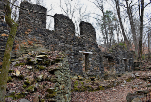 Ruins of a stone structure surrounded by trees and fallen leaves, evoking a sense of history and nature.