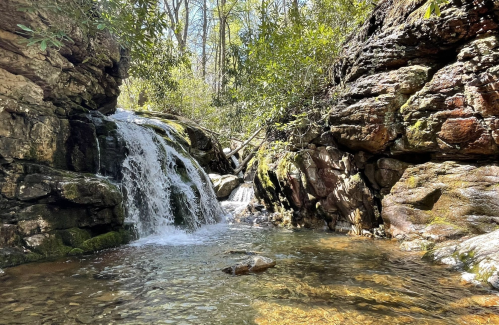 A serene waterfall cascades over rocks into a clear stream, surrounded by lush greenery and sunlight filtering through trees.