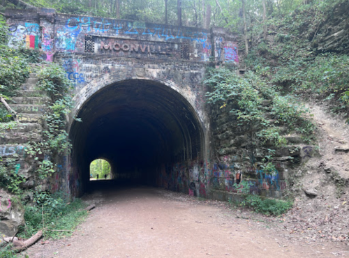 A dark, graffiti-covered tunnel entrance surrounded by greenery, leading into a wooded area.