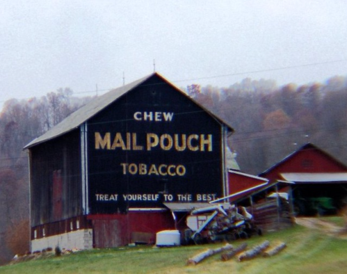 A weathered barn with a large "Mail Pouch Tobacco" sign, surrounded by a rural landscape and logs on the ground.