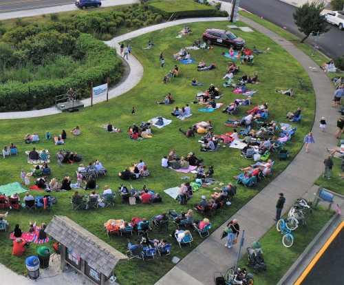 Aerial view of a large crowd sitting on blankets and chairs on a grassy area, enjoying an outdoor event.