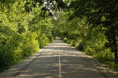 A peaceful, tree-lined path stretches into the distance, surrounded by lush greenery on both sides.