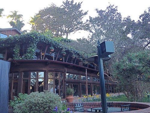 A rustic building surrounded by trees and greenery, featuring large windows and outdoor seating.