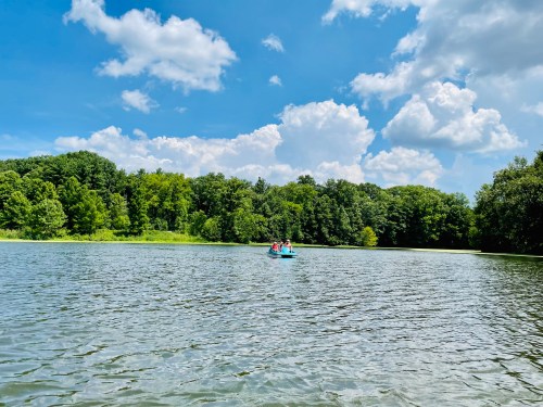 A group of people paddles a small boat on a calm lake surrounded by lush green trees and a bright blue sky.