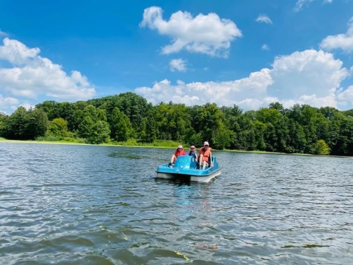 Three people enjoy a pedal boat on a sunny lake surrounded by lush green trees and a blue sky with fluffy clouds.