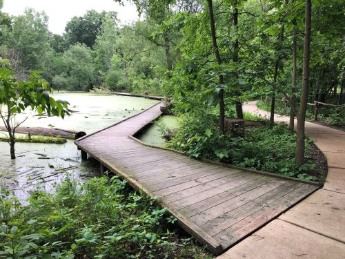A wooden boardwalk winds through a lush green landscape, surrounded by trees and a pond covered in lily pads.