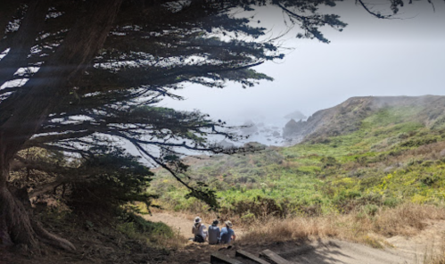 Three people sit on a path near a coastal area, surrounded by greenery and misty cliffs in the background.