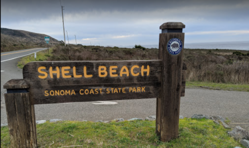 Sign for Shell Beach at Sonoma Coast State Park, with a scenic coastal view and grassy surroundings.