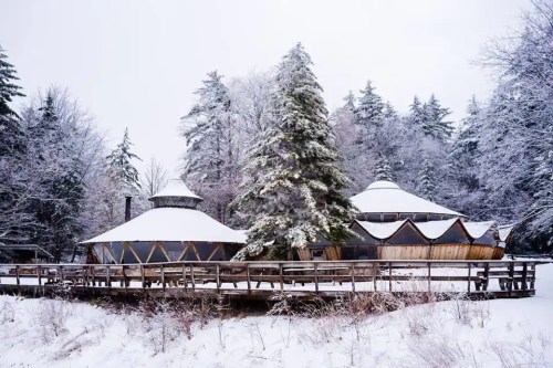 A snowy landscape featuring unique, circular buildings surrounded by tall trees.