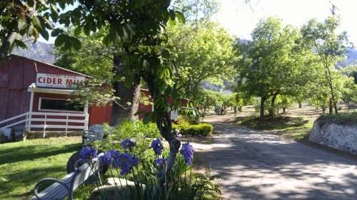 A scenic view of a cider mill surrounded by trees and flowers, with a gravel path leading into the distance.