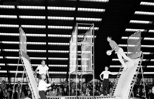 Two men perform acrobatics on trampolines in a gymnasium, with an audience watching in the background.