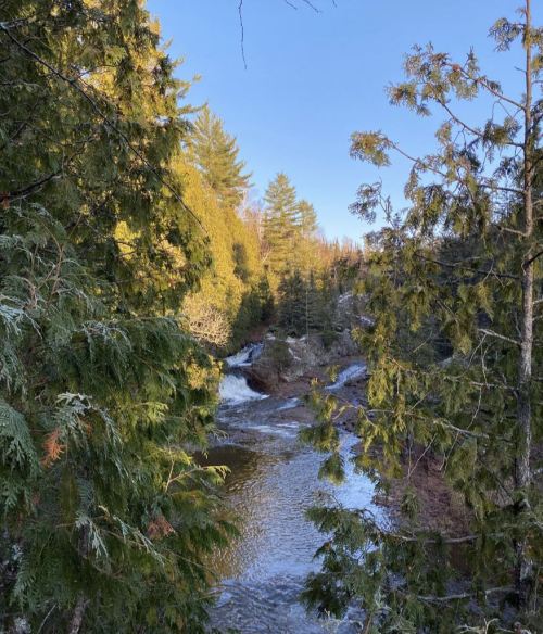 A serene river flows through a forest, surrounded by lush green trees under a clear blue sky.