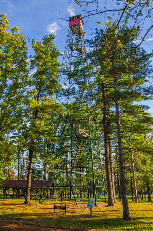 A tall green observation tower surrounded by trees, with a picnic shelter visible in the foreground.