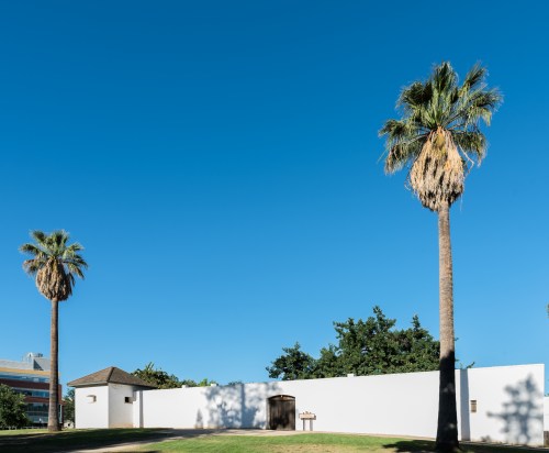 A white wall surrounds a small building, with two tall palm trees and a clear blue sky in the background.