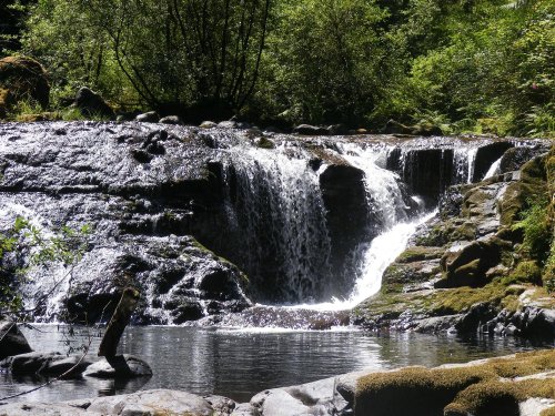 A serene waterfall cascades over rocks into a calm pool, surrounded by lush greenery and sunlight filtering through trees.