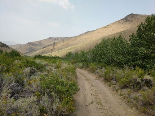 A dirt path winds through green shrubs and trees, leading into a hilly landscape under a clear sky.