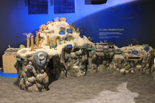 A colorful exhibit depicting a coral reef with various marine life models and educational displays in a blue-lit environment.