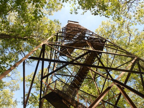 View looking up at a tall metal tower surrounded by green trees and a clear blue sky.