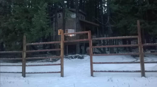 A wooden treehouse behind a wooden fence, surrounded by snow and tall trees in a forested area.